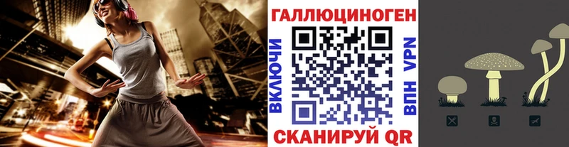Псилоцибиновые грибы MAGIC MUSHROOMS  OMG зеркало  Ардон 
